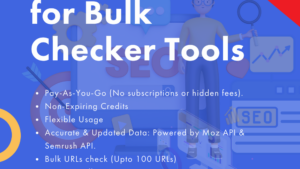 Buy SEO Credits Pack for Bulk Checker Tools